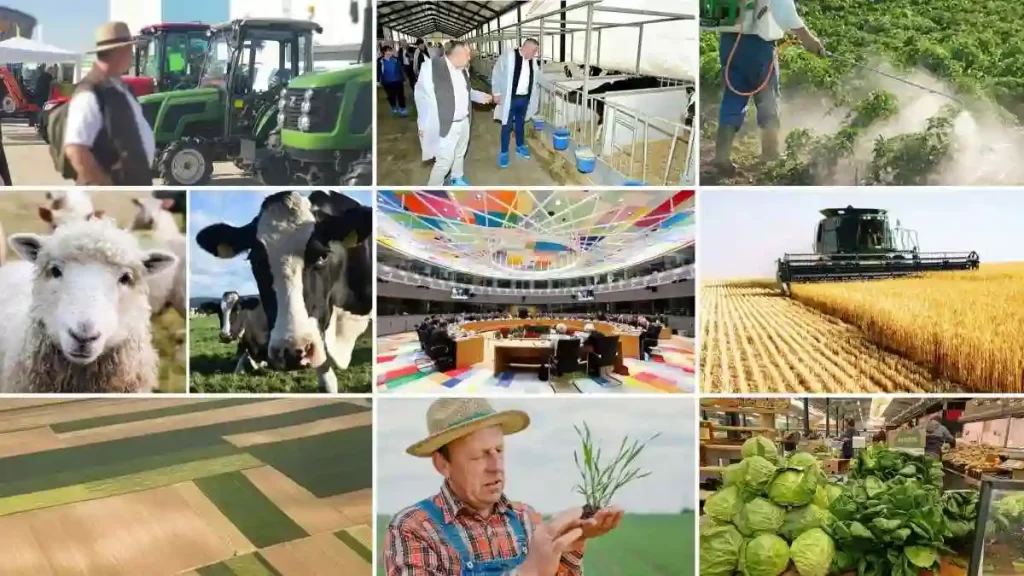 Comisia își prezintă foaia de parcurs pentru un sector agricol și agroalimentar prosper în UE